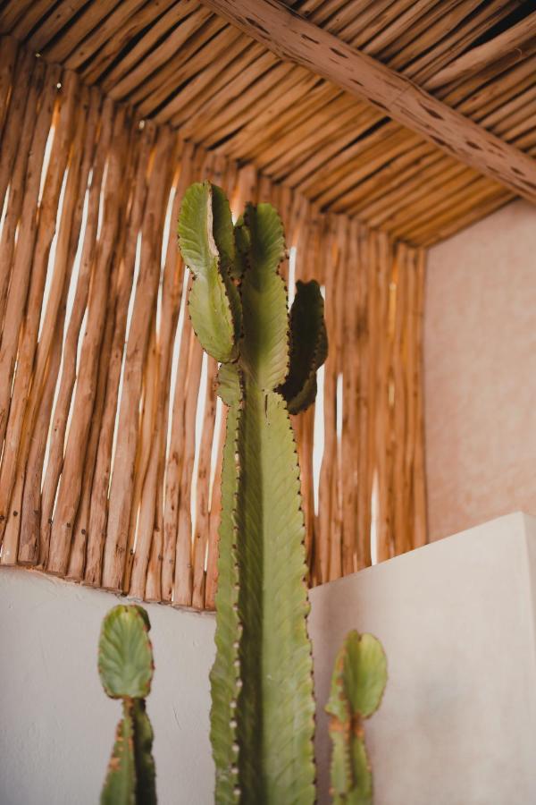 Riad Tizou Marrakesh Exteriör bild